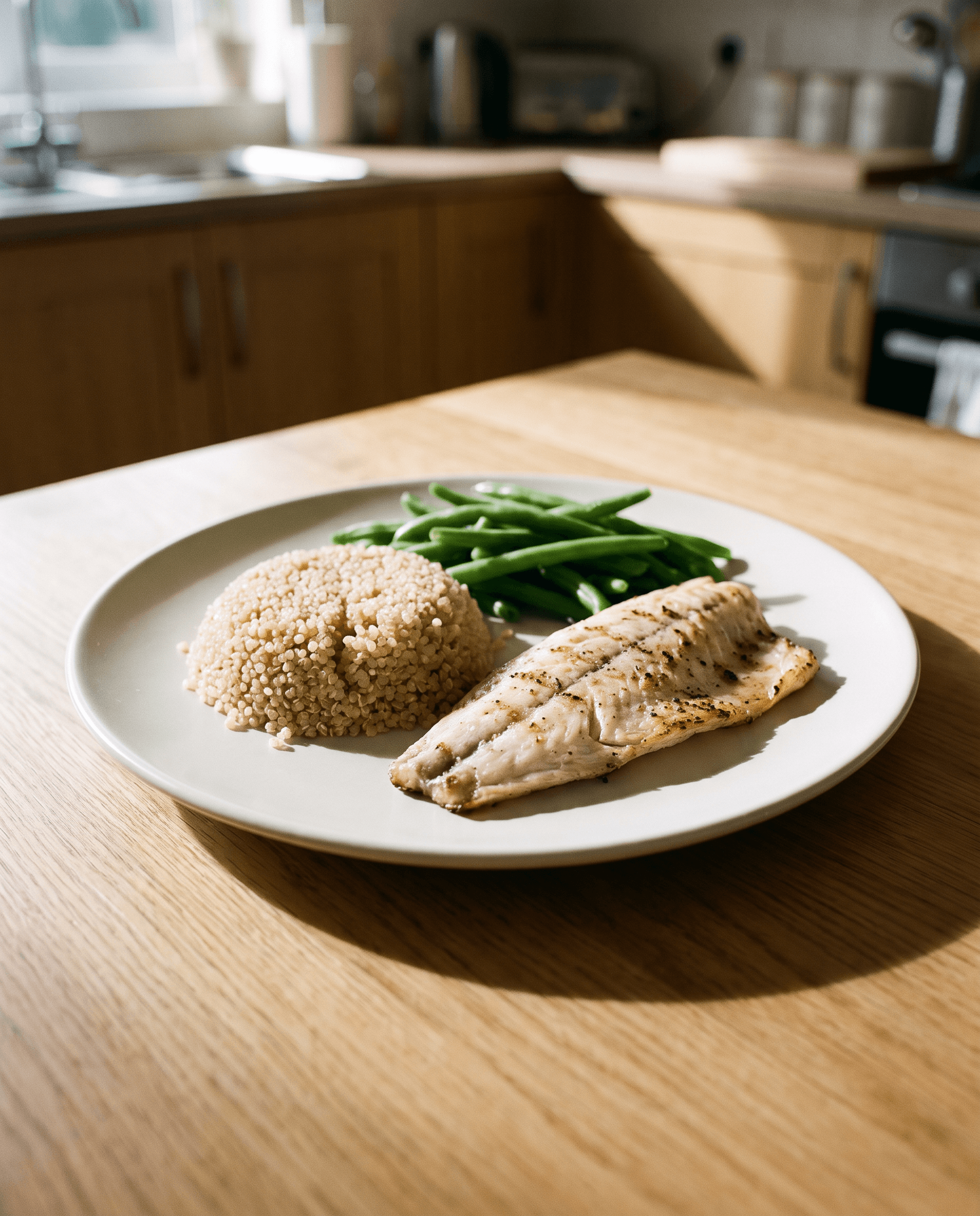 GLP-1 meal, documentary plate